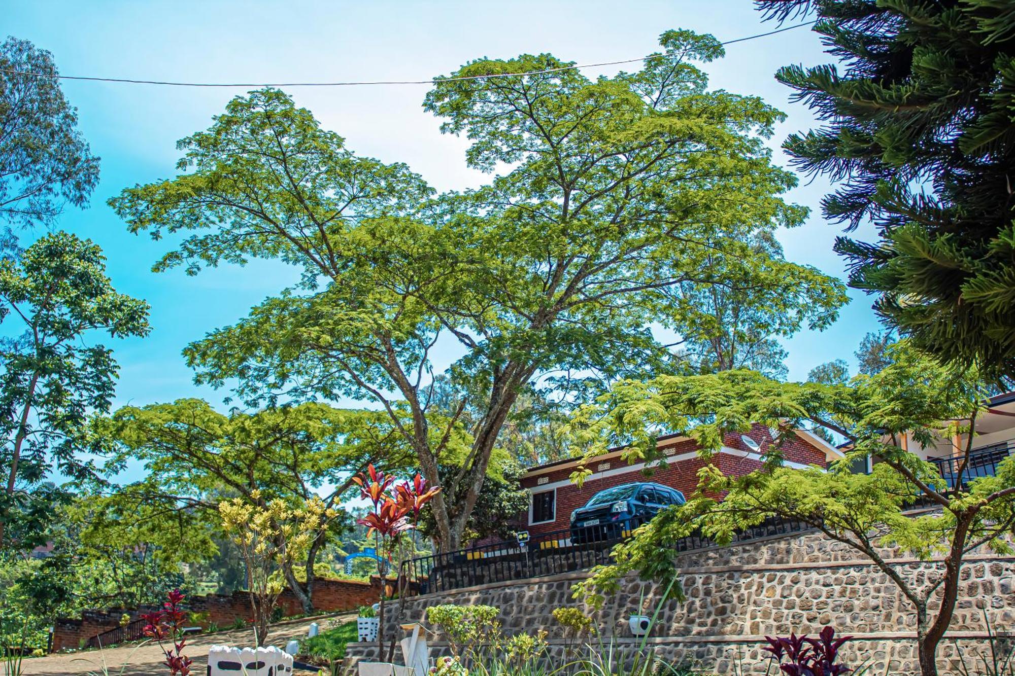 Peace Guest House Muhari Bagian luar foto
